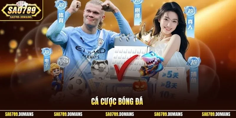 Cược bóng đá online